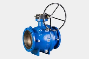 Karisma API 6D Valve