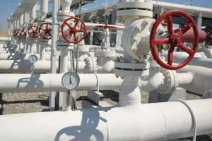 Karisma Valves