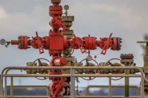 Karisma Wellhead X Tree